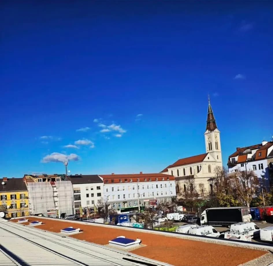 Fachgerechter Gründach-Aufbau – schützt die Abdichtung und verhindert Staunässe.